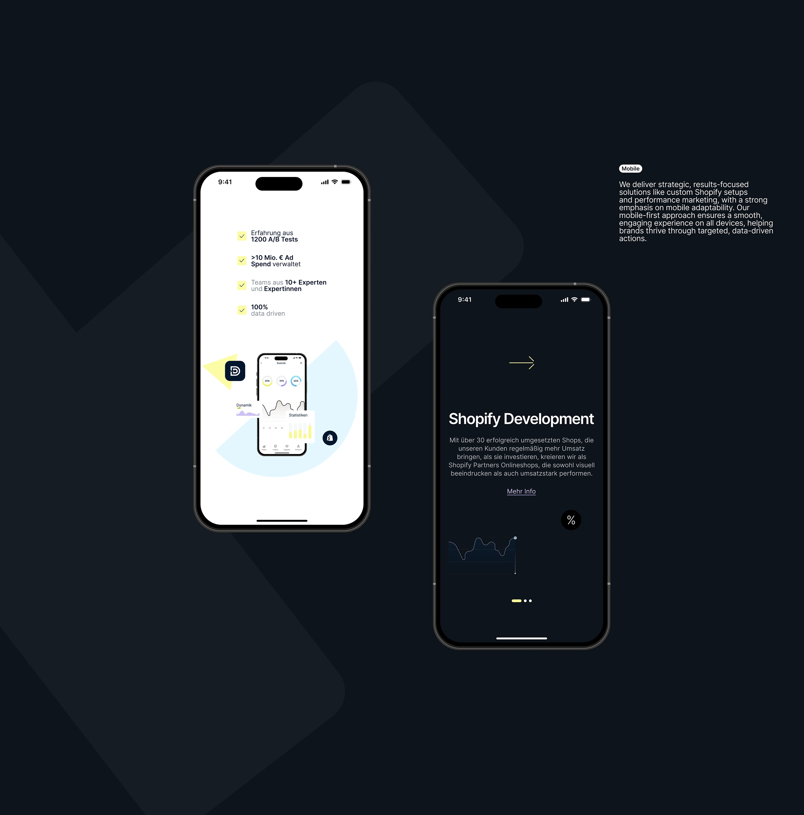 Dürr — data-driven e-commerce site — screen 5
