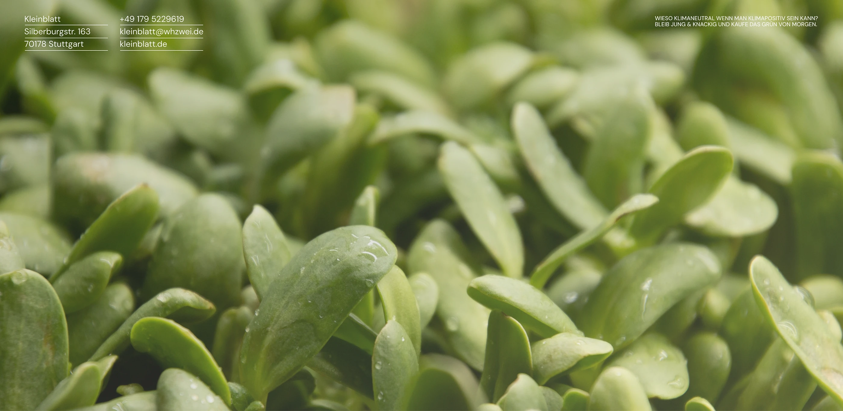 Kleinblatt — city-farm brand & web — screen 4