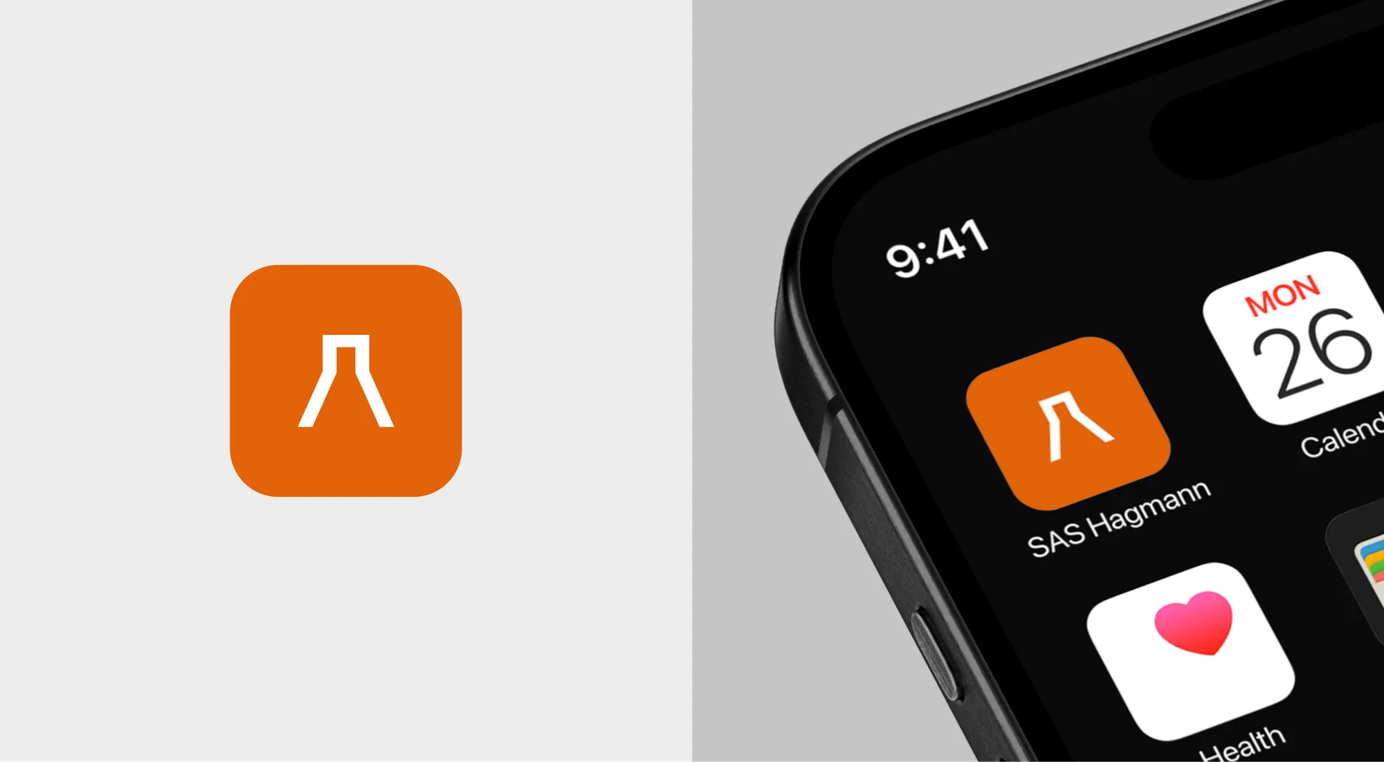 SAS Hagmann — Medtech brand identity — screen 4